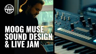 Moog Muse  Overview amp Sound Design  Thomann [upl. by Stew302]