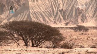 Qeshm GeoPark [upl. by Ecar]