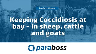 Keeping Coccidiosis at bay  in sheep cattle and goats [upl. by Alburga]