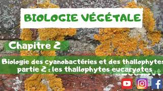 Biologie végétale chapitre 2  Biologie des cyanobactéries et des thallophytes   les thallophytes [upl. by Tiffani734]