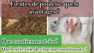 Les fumier de poule  pour booster la croissance et le rendement de vos plantesTEOGarden [upl. by Onaicul]