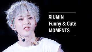 EXO Xiumin Funny amp Cute Moments [upl. by Runkel]