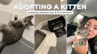 I ADOPTED A KITTEN prepping adoption first 24 hrs [upl. by Lamar]