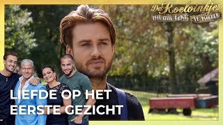 DAVE heeft een nieuwe LIEFDE  De Roelvinkjes Effe Geen Cent Te Makken [upl. by Nylicaj]