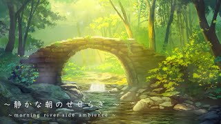 環境音自然音朝の静かなせせらぎ8時間川の音、森の音Sound Forest [upl. by Hakym388]