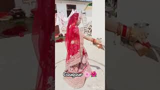 gangaur🌸 rajasthan yt ytshorts trending gangaur [upl. by Hodges]