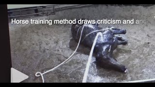 Horse training method draws criticism and anger [upl. by Sall514]