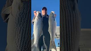 Lake lanier stripers fishing bassfishing striperfishing [upl. by Kelsey657]