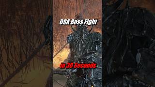 How Dark Souls 3 Speedrunners DESTROY Dragonslayer Armour [upl. by Eglanteen446]