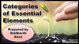 Categories of Essential elements  Class 11 Biology  Chapter 12 [upl. by Shermy]