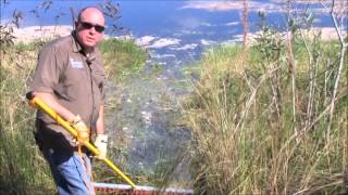 Lake Weed Cutter Weed Razer Aquatic Weed Removal Tool [upl. by Trever]