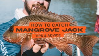 How to catch Mangrove Jacks  Tips on Fishing for Jacks [upl. by Leschen]