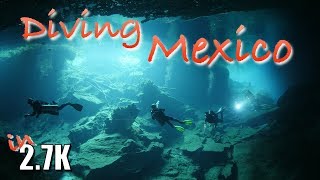 Diving Mexico Cenotes Halocline amp Whale Sharks included [upl. by Aeresed]