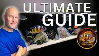 STEP by STEP  Setting Up Peacock amp Hap AFRICAN CICHLID Tank [upl. by Wareing]