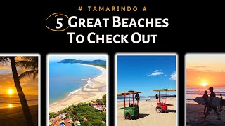 The Top 5 Beaches You Must Visit This Year  Tamarindo Guanacaste Costa Rica [upl. by Sualkcin]