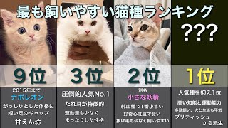 【決定版】最も飼いやすい猫種ランキングTOP10 [upl. by Onaireves]