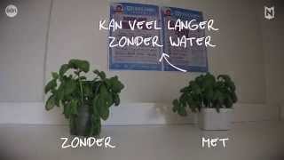 13 Lifehack Plantjes in leven houden [upl. by Fronniah]