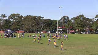 North Saints Colts vs Mosman IIs 5 [upl. by Neitsabes]