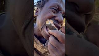 This baboon is so delicioushadzatribe foodnature documentary [upl. by Eanal402]