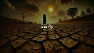 Pini Bindu  පිනි බිඳු   Slowed amp Reverb  Yuki Navaratne [upl. by Kaine79]