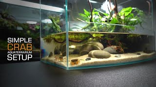 Setup Crab Tank Aquaterrauium l Paludarium l stepbystep l STARTING GUIDE FOR BEGINNERS [upl. by Kauffman]