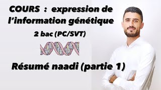 Cours Résumé naaadi de l’Expression de l’information génétique partie 1 naaaadi 🔥🔥🧬 [upl. by Maon]