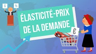 Lélasticitéprix de la demande [upl. by Chor]