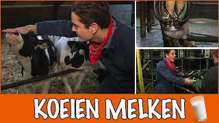 Waar komt jouw melk vandaan Van koe tot koelkast  DierenpraatTV [upl. by Lucia]