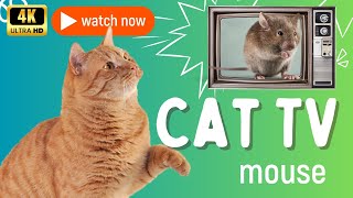 CAT TV Ultimate Mouse Entertainment for Your Cat [upl. by Dodie237]