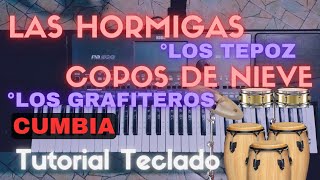 LAS HORMIGAS Y COPOS DE NIEVE TUTORIAL EN TECLADO CUMBIA [upl. by Falzetta631]