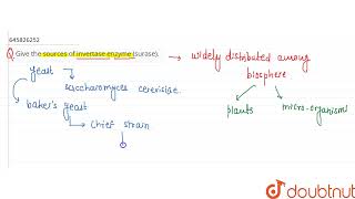 Give the sources of invertase enzyme surase  CLASS 12  MICROBES IN HUMAN WELFARE  BIOLOGY [upl. by Gem]