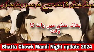 Bhatta Chowk Mandi Night update 2024 [upl. by Arakal609]