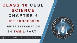 CLASS 10 CBSE SCIENCE CHAPTER 6 LIFE PROCESSES BRIEF EXPLANATION IN TAMIL  PART 1 [upl. by Harragan736]