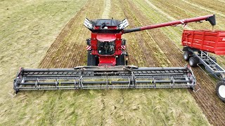 CASE IH 9260 AXIALFLOW Harvesting Different Crops with MacDon FD250 50 ft Header [upl. by Beuthel]