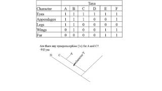 Cladogram Exercise by Hamid Razifard [upl. by Richardson]