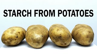 Extracting the starch from potatoes [upl. by Primavera240]