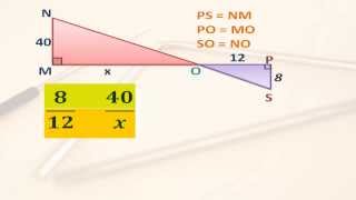 Triangulos semejantes y proporcionalidad [upl. by Heise786]