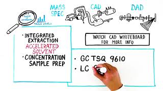 Extractables and Leachables Challenges and Solutions [upl. by Ahseket569]