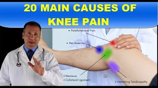 20 MAIN CAUSES OF KNEE PAIN [upl. by Eetnod105]