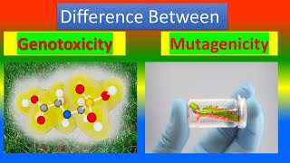 Difference Between Genotoxicity and Mutagenicity [upl. by Serafina]