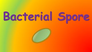 bacterial spore [upl. by Imaon]