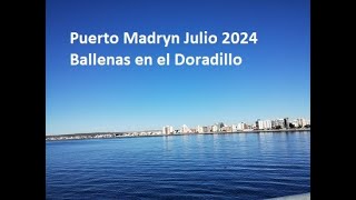 Puerto Madryn Julio 2024 [upl. by Elwyn576]