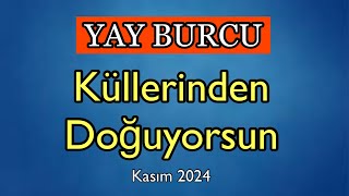 Yay Burcu Kasım 2024 Burç Yorumları [upl. by Peednas54]