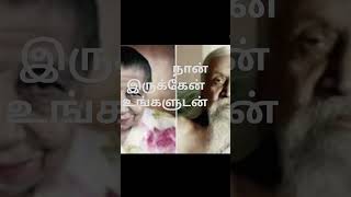 Annai Aravindar songTrendingvlog18 Pondicherry Annai Aravindar God song reels [upl. by Gebelein]