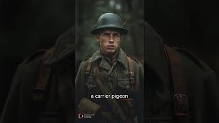 facts pigeon medal bravery ww2 [upl. by Adnirem]