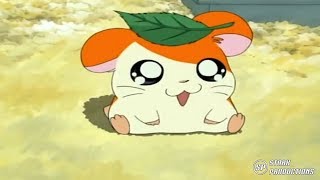 Hamtaro  Opening 1080P Castellano [upl. by Hgielar]