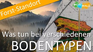 Verschiedene Bodenarten an einem Standort 🌲🌳 Wie gehe ich hier vor [upl. by Aker]