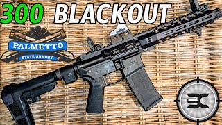 Palmetto state armory  Aero Precision 300 blackout AR pistol [upl. by Ryhpez]