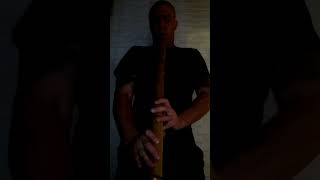 Shakuhachi meditacion [upl. by Adekan]