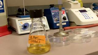 How to Pour Agar Plates [upl. by Relyhs901]